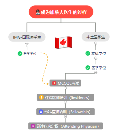 宠物医生执照-宠物医生执照怎么办理