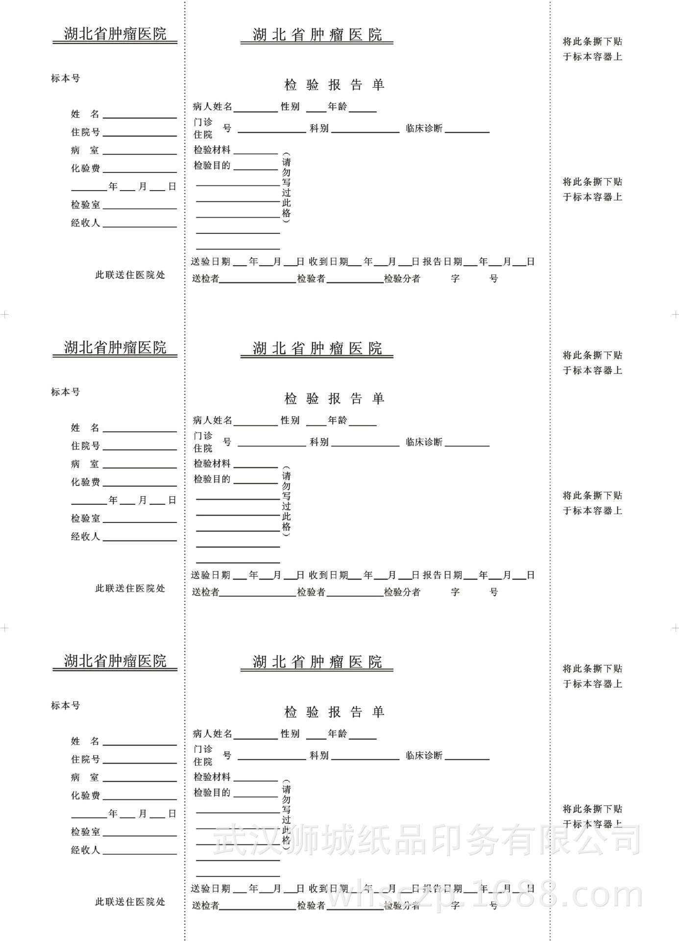 宠物病历收费