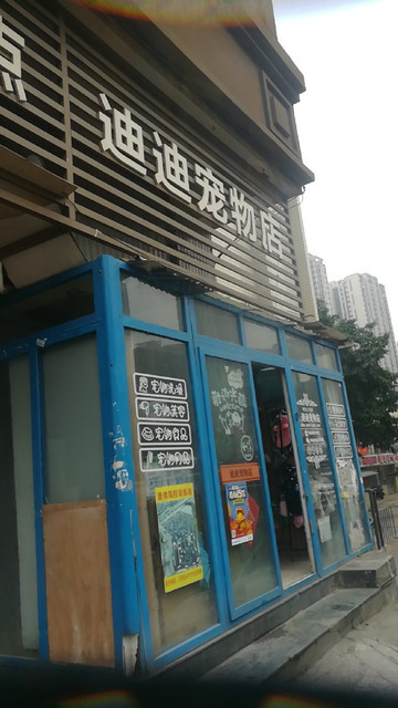 宠物店怎么进宠物