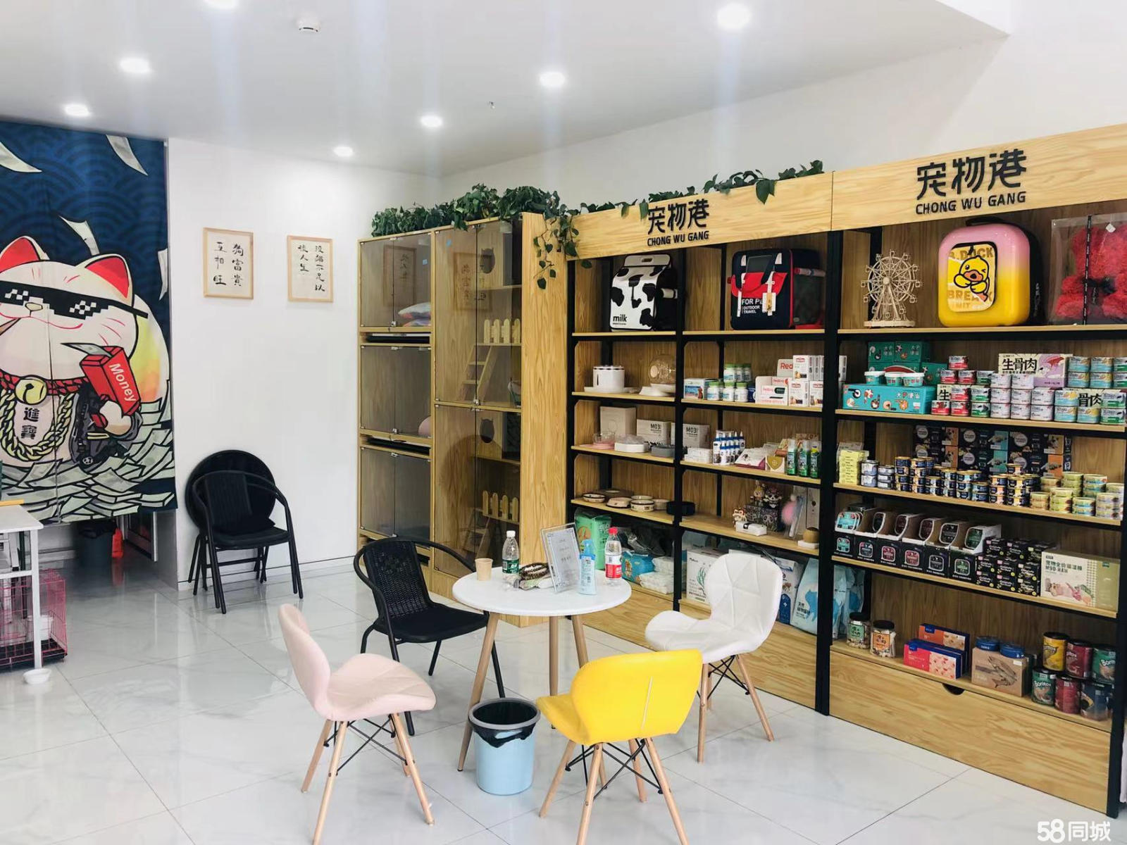 成都有多少家宠物店-成都宠物店集中的地方