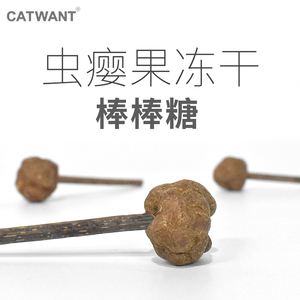 虫瘿果对猫的作用-虫瘿果对猫的作用和功效