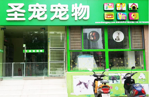 阜新哪家宠物店好-阜新宠物店狗狗价格表