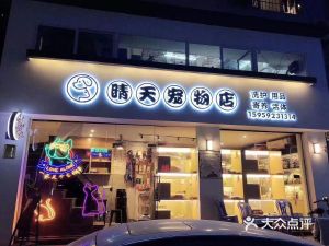 绵阳那里有宠物店-绵阳宠物店绵阳宠物服务信息