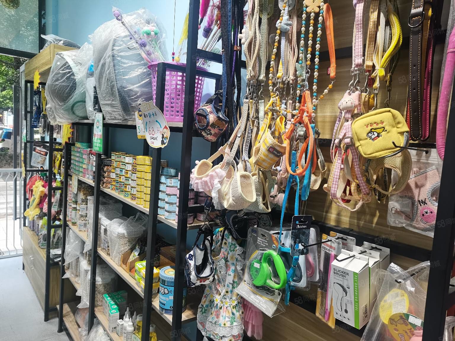 绵阳那里有宠物店-绵阳宠物店绵阳宠物服务信息