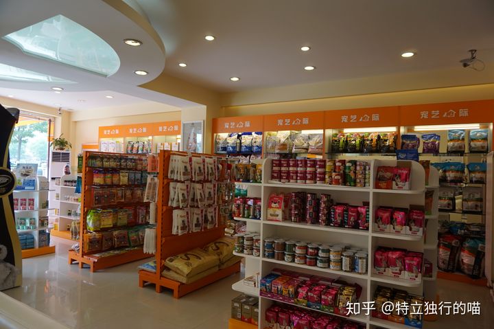 包头宠物店哪家好-包头宠物店哪家好点