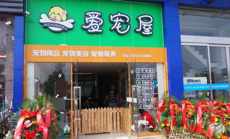 杭州宠物美容排名-杭州宠物美容店排名