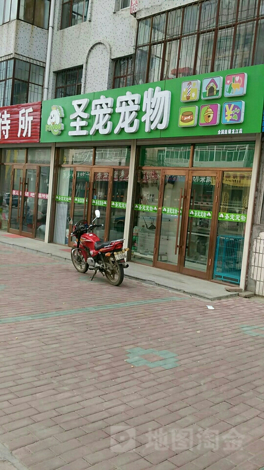 全国宠物店