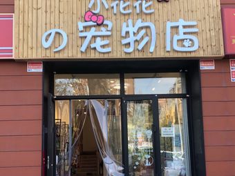 附近宠物店在哪里-附近宠物店在哪里会城卖狗狗吗