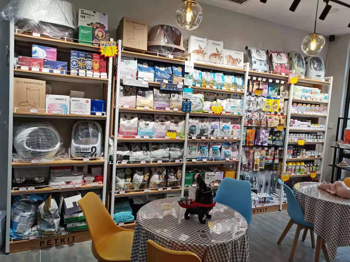 福州宠物店宠物市场排行