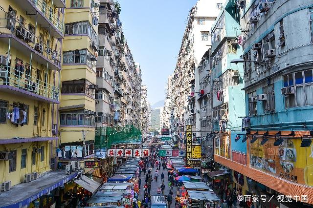 香港宠物街-香港宠物交易