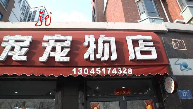 宠物店买宠物需要-宠物店买宠物需要什么资质