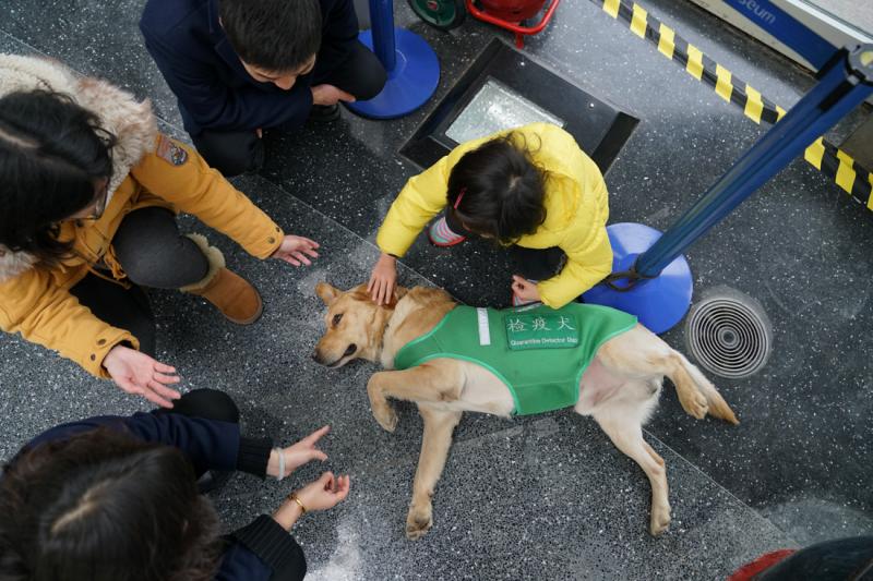 宠物检疫上海