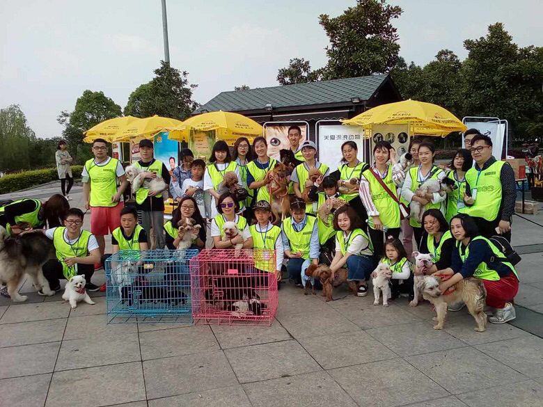 深圳哪里有宠物市场在哪里-深圳宠物市场在哪里几点关门