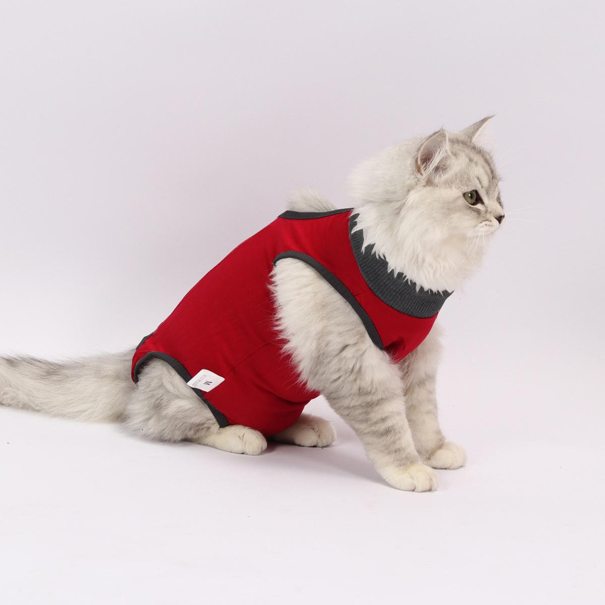 宠物猫衣服怎么做-宠物猫衣服怎么做好看