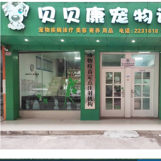 汕头宠物店在哪-汕头宠物店哪家好