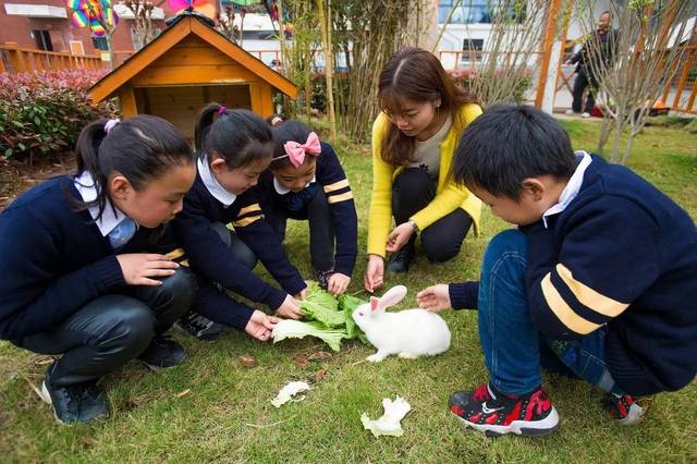 上宠物学校