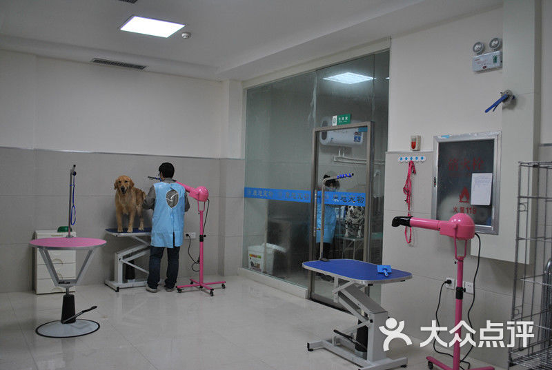 杭州宠物诊所-杭州宠物诊所升级医院