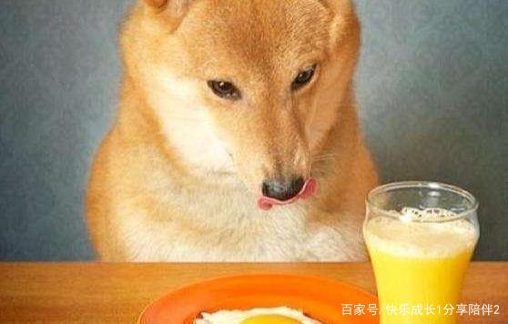 狗能吃地瓜吗-狗能吃地瓜吗蒸熟的可以吃吗
