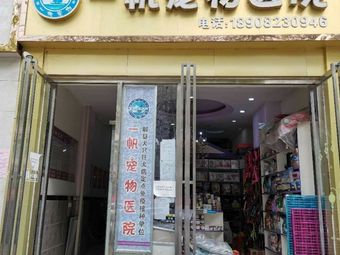 玉林哪里有宠物店-玉林哪里有卖宠物的宠物市场